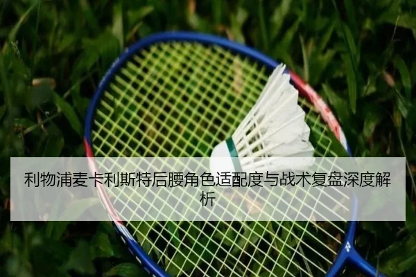 利物浦麦卡利斯特后腰角色适配度与战术复盘深度解析